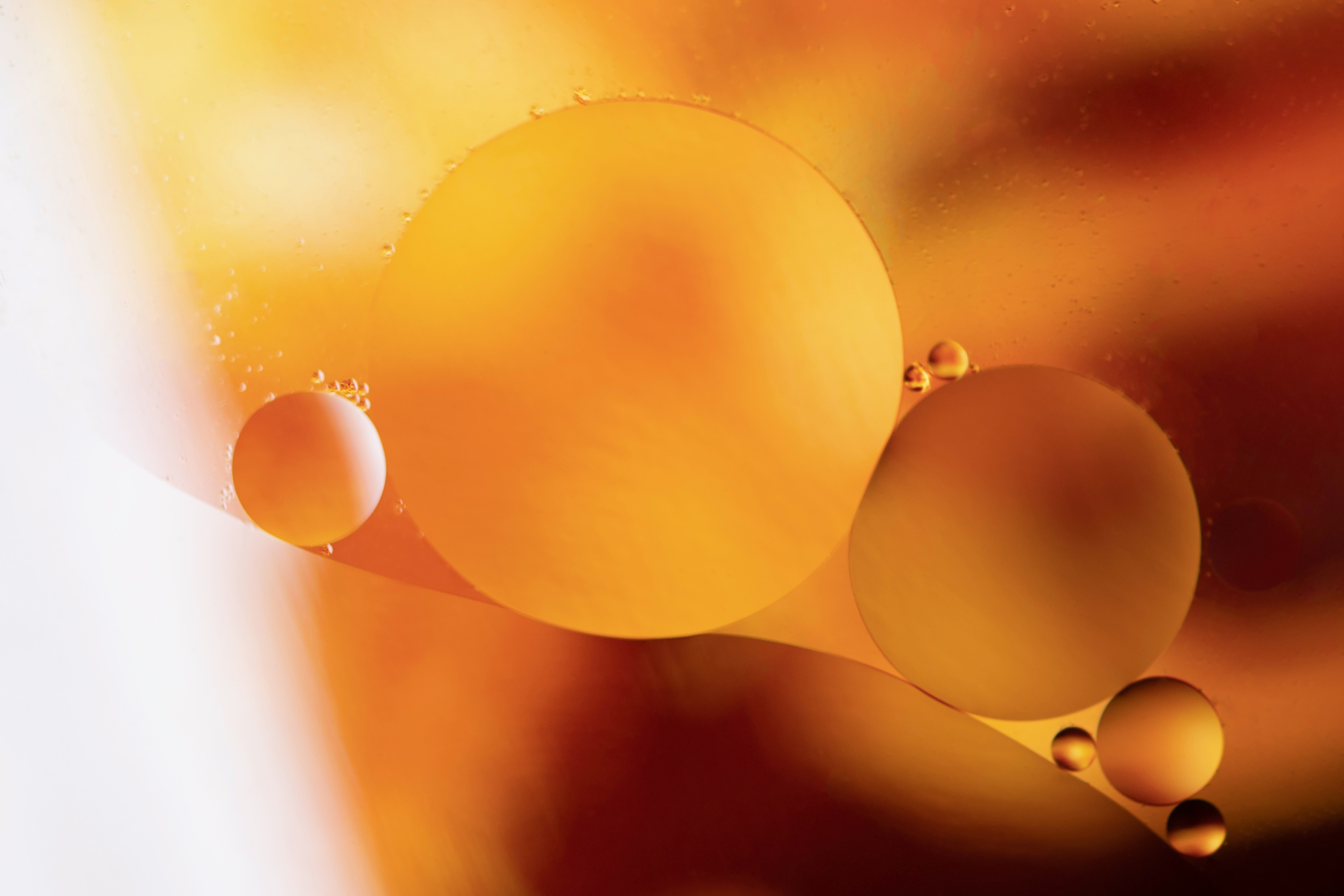 yellow balloons in close up photography